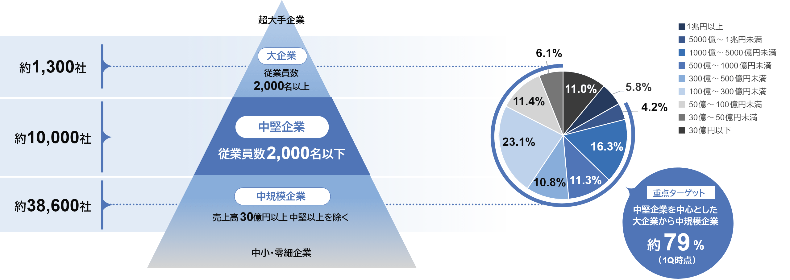 企業の規模別社数と売上高構成比の図。中堅企業を中心とした大企業から中規模企業を重点ターゲットとし、全体の約79%を占めることを示している。